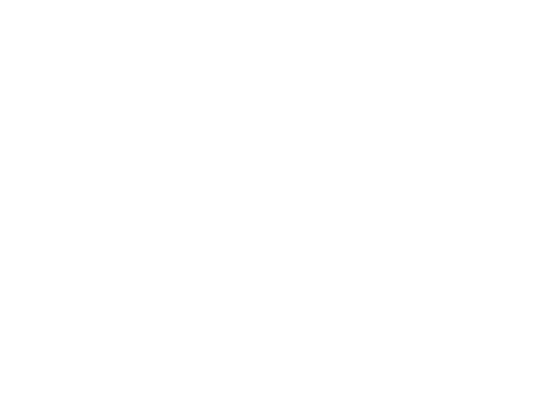 L'Artigiano del Web
